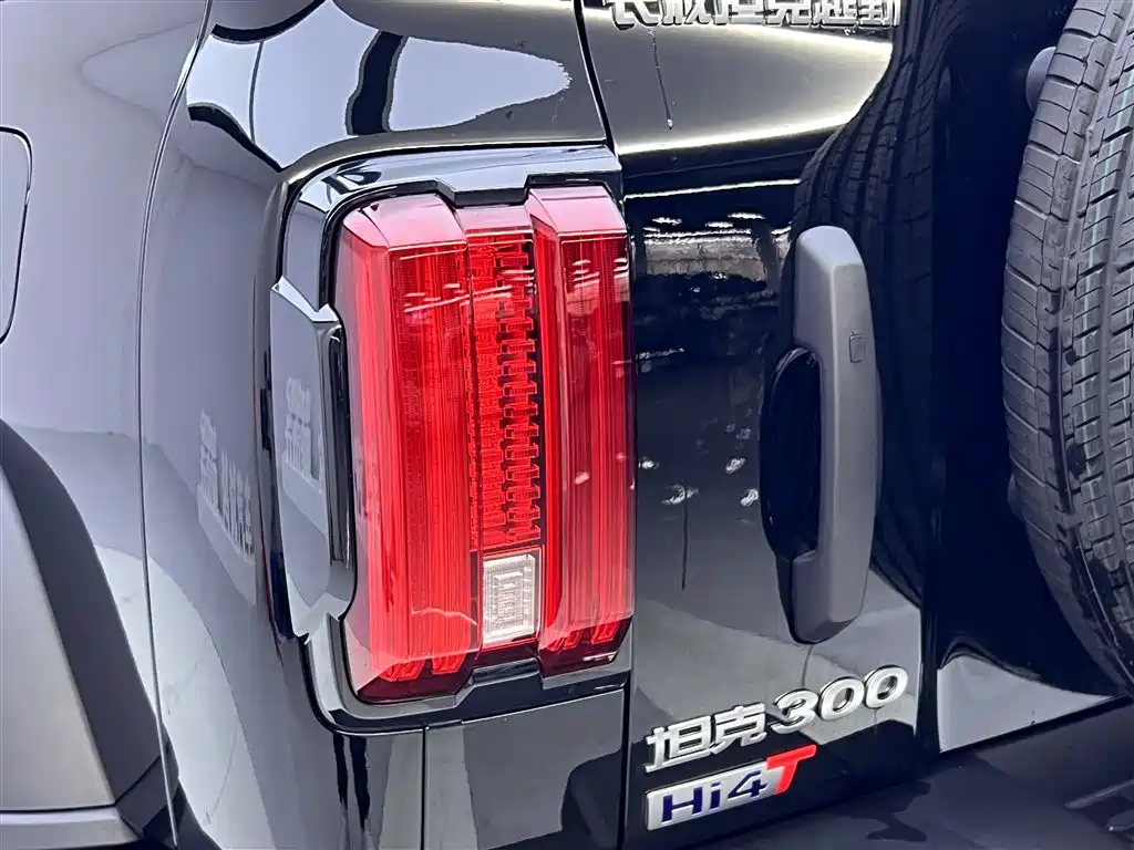 Tank Tank 300 New Energy 2025 Model Hi4-T 36.7kWh 2026 - thumbnail 10