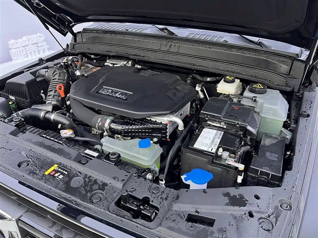 Tank Tank 300 New Energy 2025 Model Hi4-T 36.7kWh 2026 - thumbnail 12