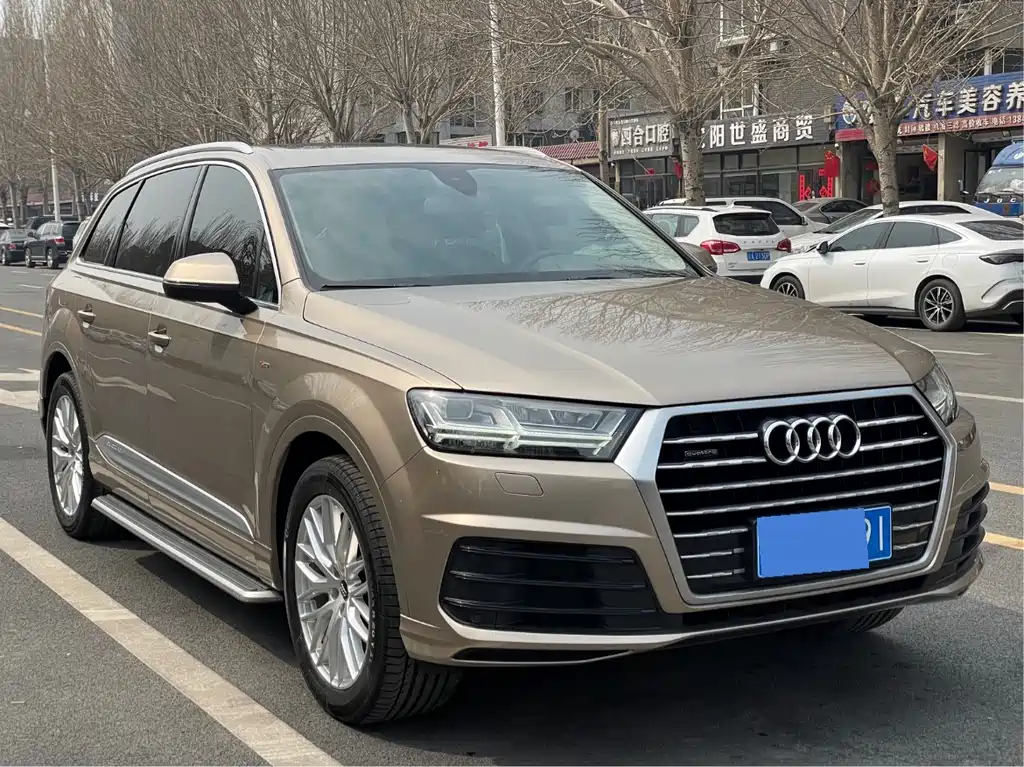Audi Audi Q7 2019 55 TFSI S line Sport 2019 - thumbnail 3