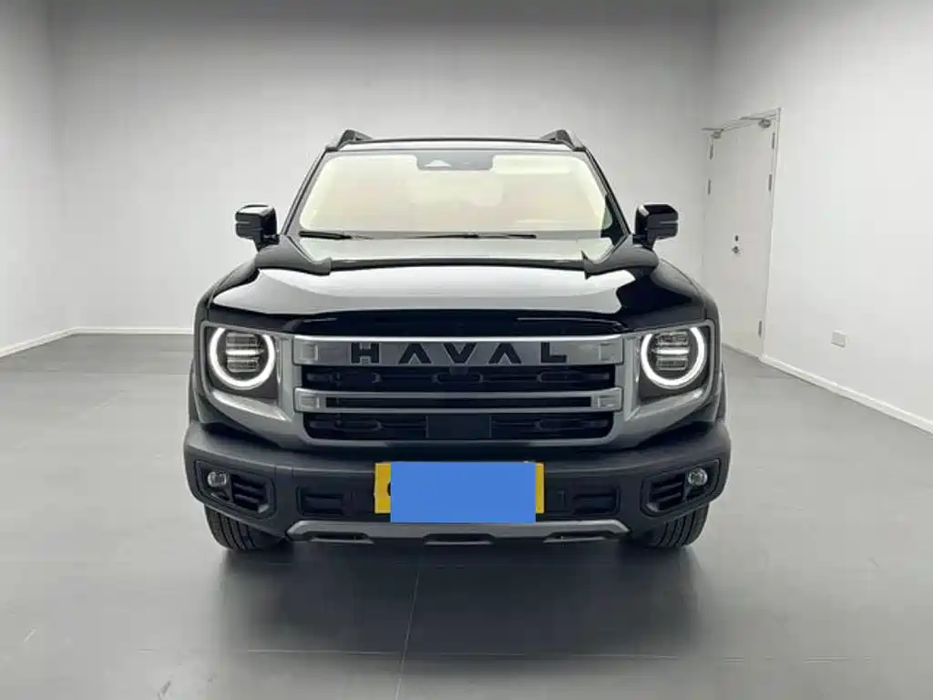 Haval Haval Dog 2024 1.5T DCT Border Collie Edition 2025 - thumbnail 2