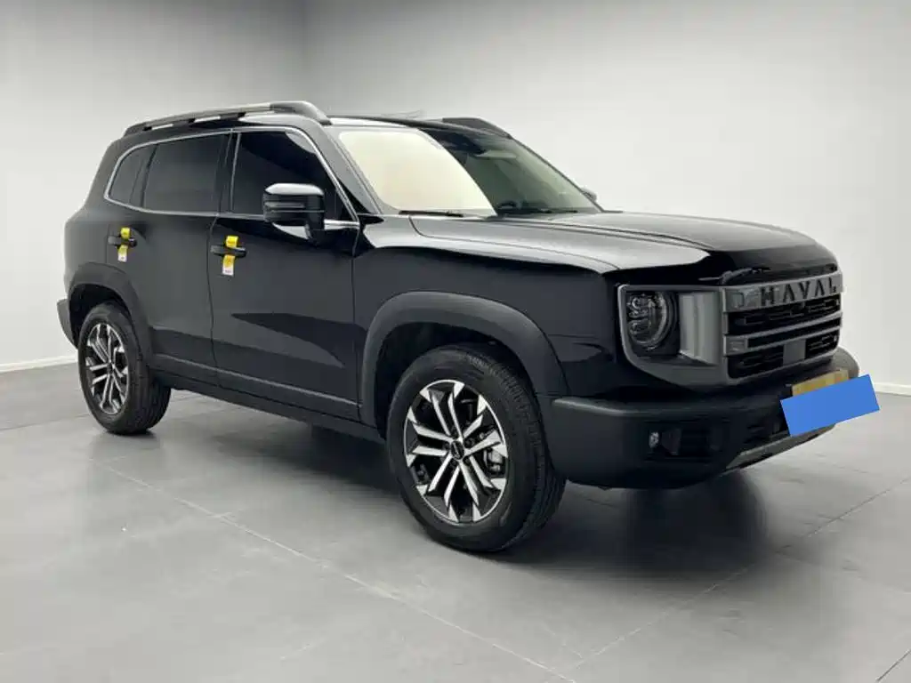 Haval Haval Dog 2024 1.5T DCT Border Collie Edition 2025 - thumbnail 3
