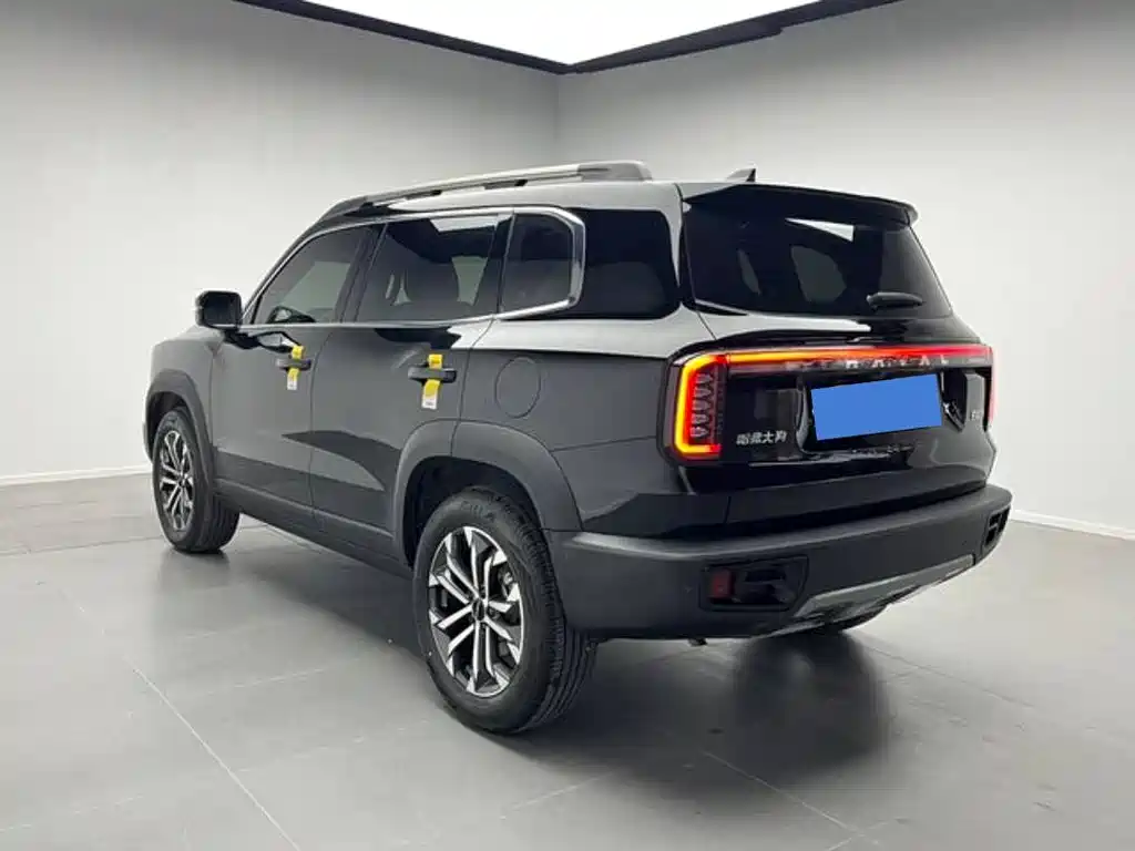 Haval Haval Dog 2024 1.5T DCT Border Collie Edition 2025 - thumbnail 6