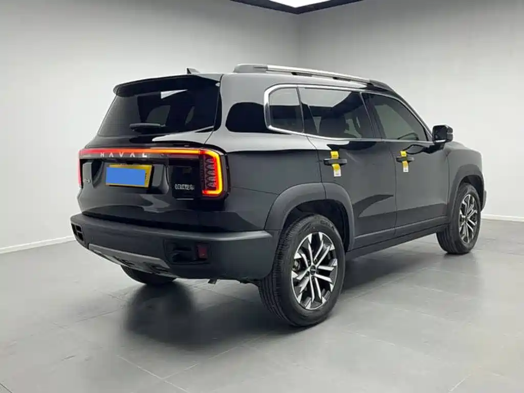 Haval Haval Dog 2024 1.5T DCT Border Collie Edition 2025 - thumbnail 8