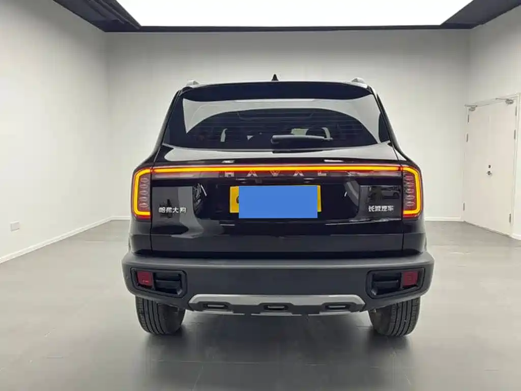 Haval Haval Dog 2024 1.5T DCT Border Collie Edition 2025 - thumbnail 9
