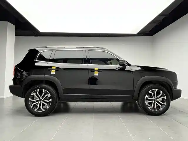 Haval Haval Dog 2024 1.5T DCT Border Collie Edition 2025 - thumbnail 10
