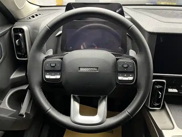 Haval Haval Dog 2024 1.5T DCT Border Collie Edition 2025 - thumbnail 12