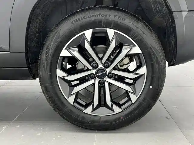 Haval Haval Dog 2024 1.5T DCT Border Collie Edition 2025 - thumbnail 14