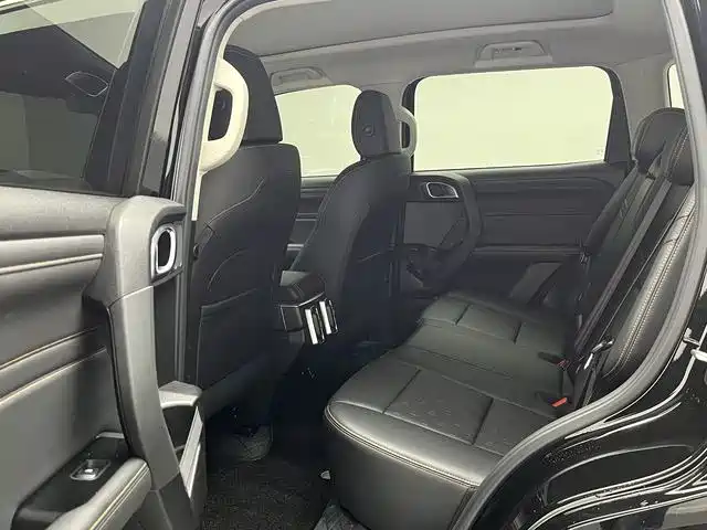 Haval Haval Dog 2024 1.5T DCT Border Collie Edition 2025 - thumbnail 15