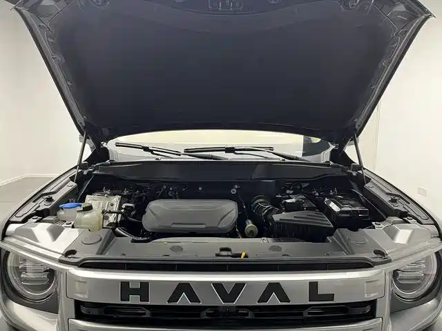 Haval Haval Dog 2024 1.5T DCT Border Collie Edition 2025 - thumbnail 16
