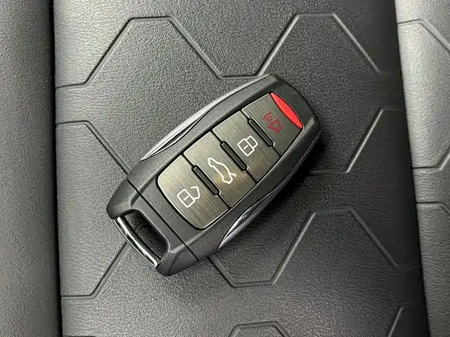 Haval Haval Dog 2024 1.5T DCT Border Collie Edition 2025 - thumbnail 17