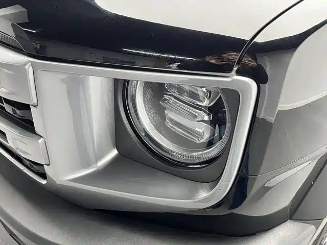 Haval Haval Dog 2024 1.5T DCT Border Collie Edition 2025 - thumbnail 18