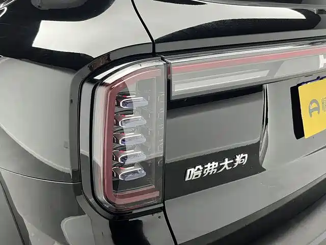 Haval Haval Dog 2024 1.5T DCT Border Collie Edition 2025 - thumbnail 19