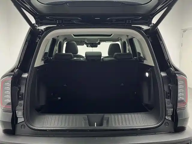 Haval Haval Dog 2024 1.5T DCT Border Collie Edition 2025 - thumbnail 20
