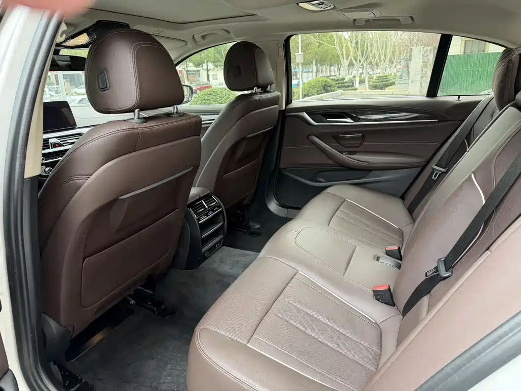 BMW BMW 5 Series 2021 525Li Luxury Package 2020 - thumbnail 6