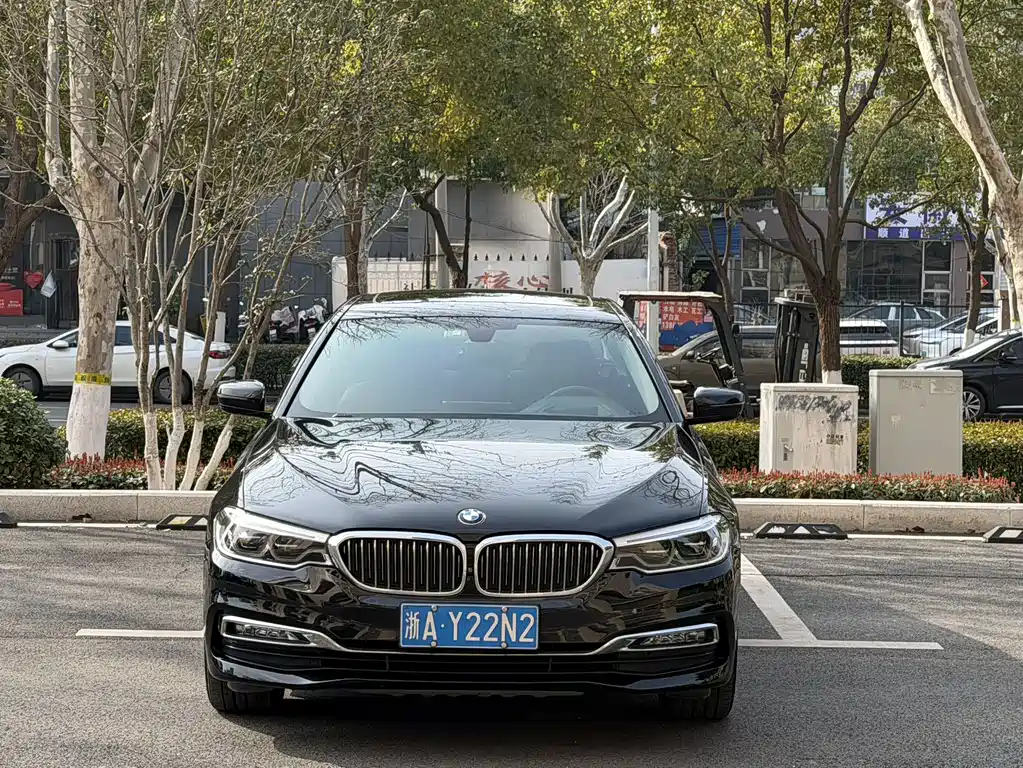 BMW BMW 5 Series 2018 Facelift 530Li Luxury Package 2018 - thumbnail 2