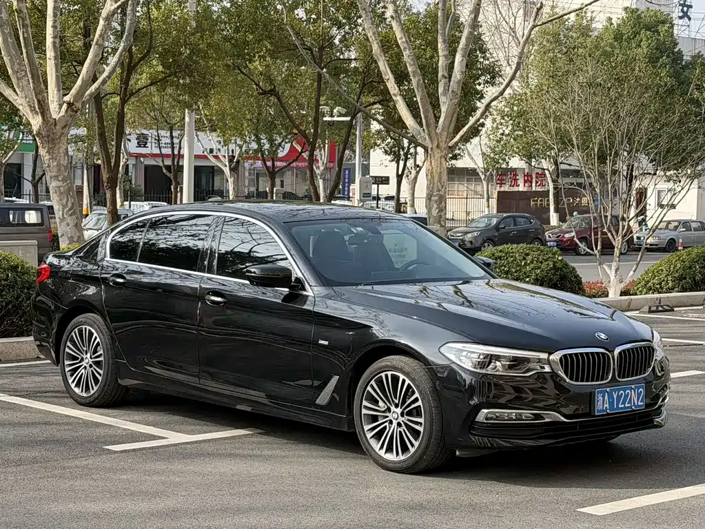 BMW BMW 5 Series 2018 Facelift 530Li Luxury Package 2018 - thumbnail 3