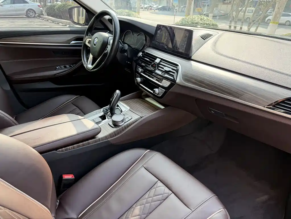 BMW BMW 5 Series 2018 Facelift 530Li Luxury Package 2018 - thumbnail 8
