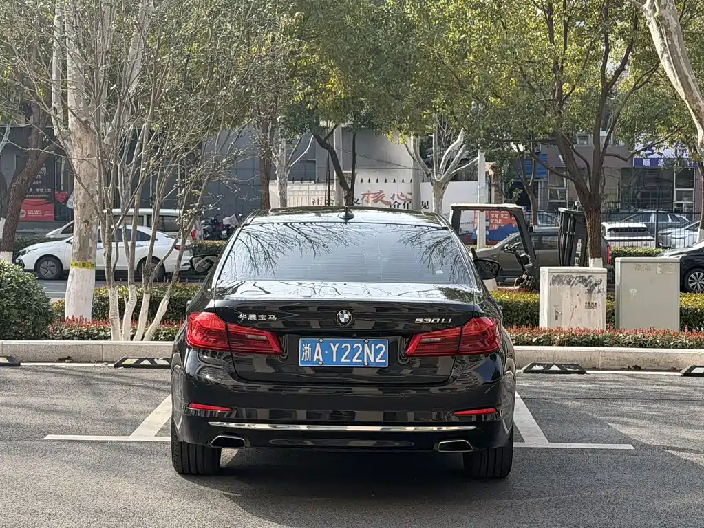 BMW BMW 5 Series 2018 Facelift 530Li Luxury Package 2018 - thumbnail 10