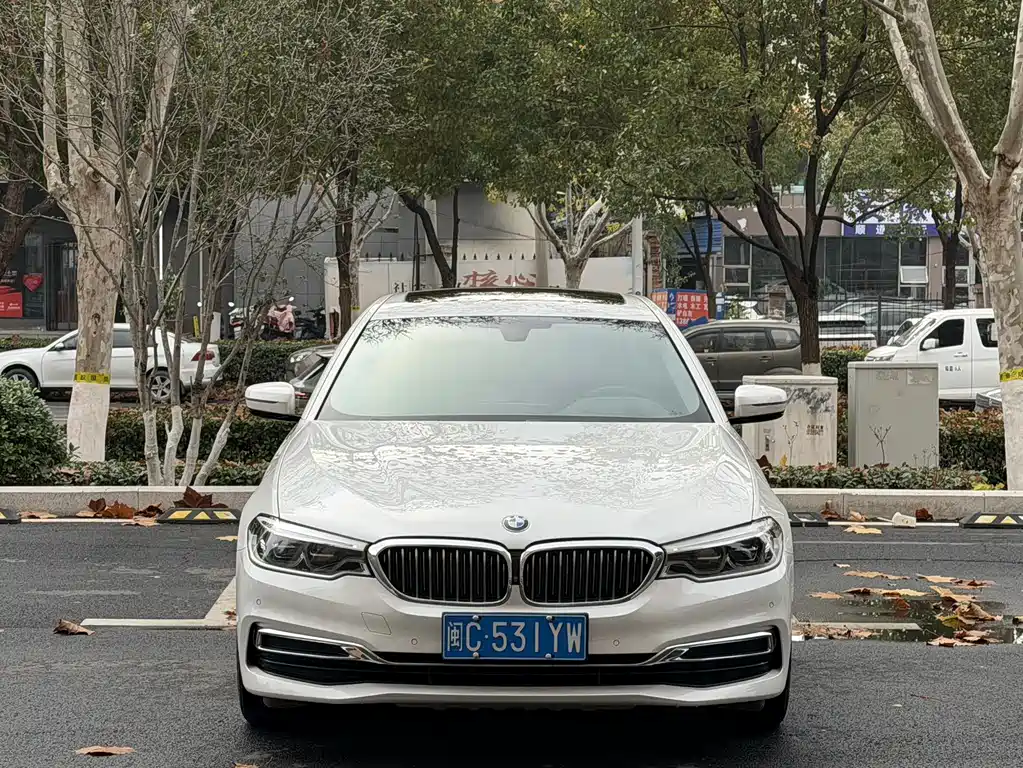 BMW BMW 5 Series 2020 530Li Luxury Model Premium Package 2020 - thumbnail 2