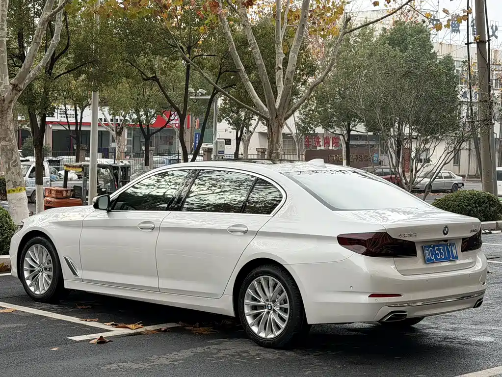 BMW BMW 5 Series 2020 530Li Luxury Model Premium Package 2020 - thumbnail 3