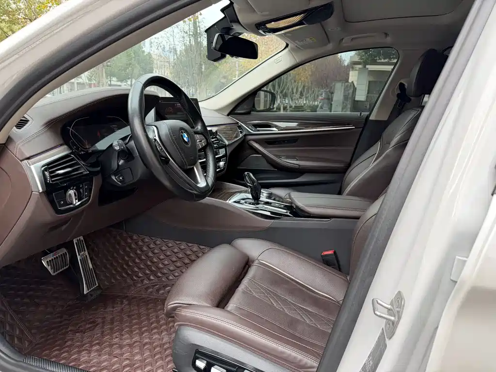 BMW BMW 5 Series 2020 530Li Luxury Model Premium Package 2020 - thumbnail 5