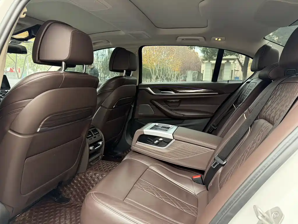 BMW BMW 5 Series 2020 530Li Luxury Model Premium Package 2020 - thumbnail 6