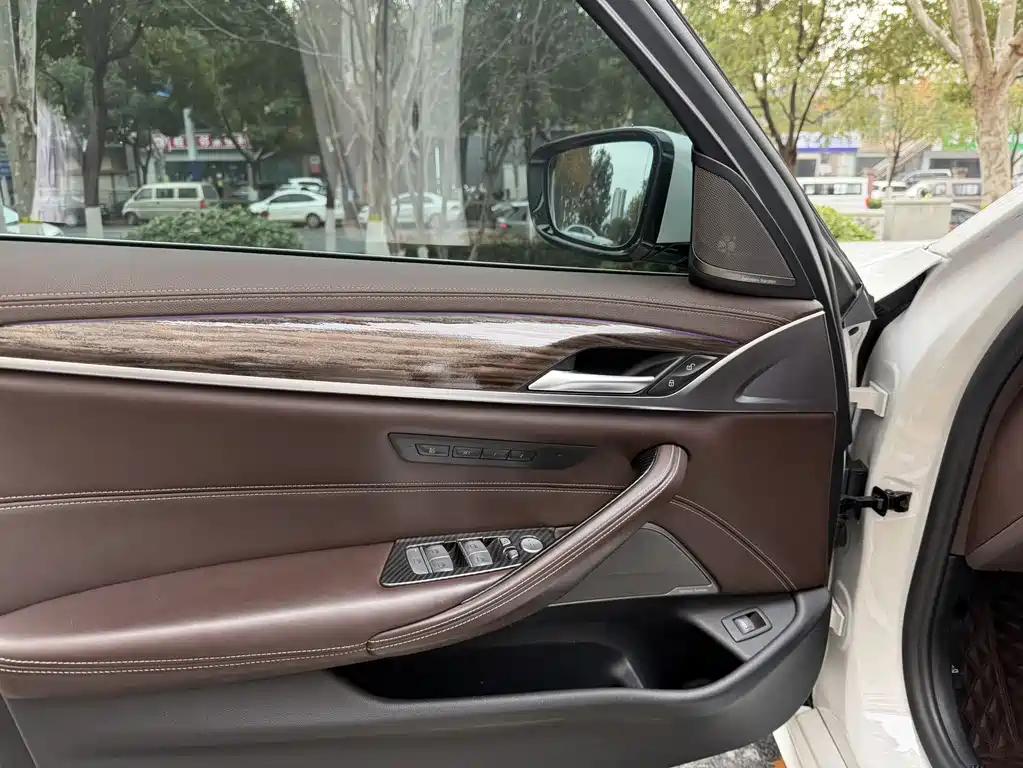 BMW BMW 5 Series 2020 530Li Luxury Model Premium Package 2020 - thumbnail 8