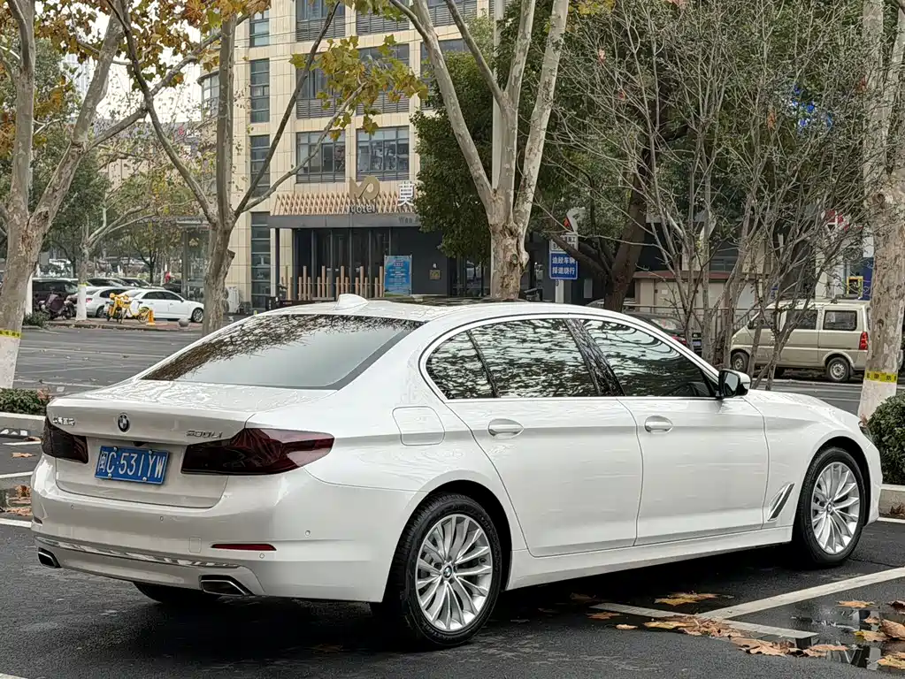 BMW BMW 5 Series 2020 530Li Luxury Model Premium Package 2020 - thumbnail 9