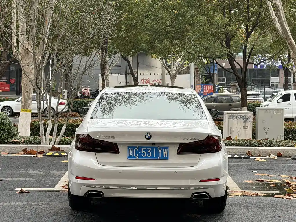 BMW BMW 5 Series 2020 530Li Luxury Model Premium Package 2020 - thumbnail 10