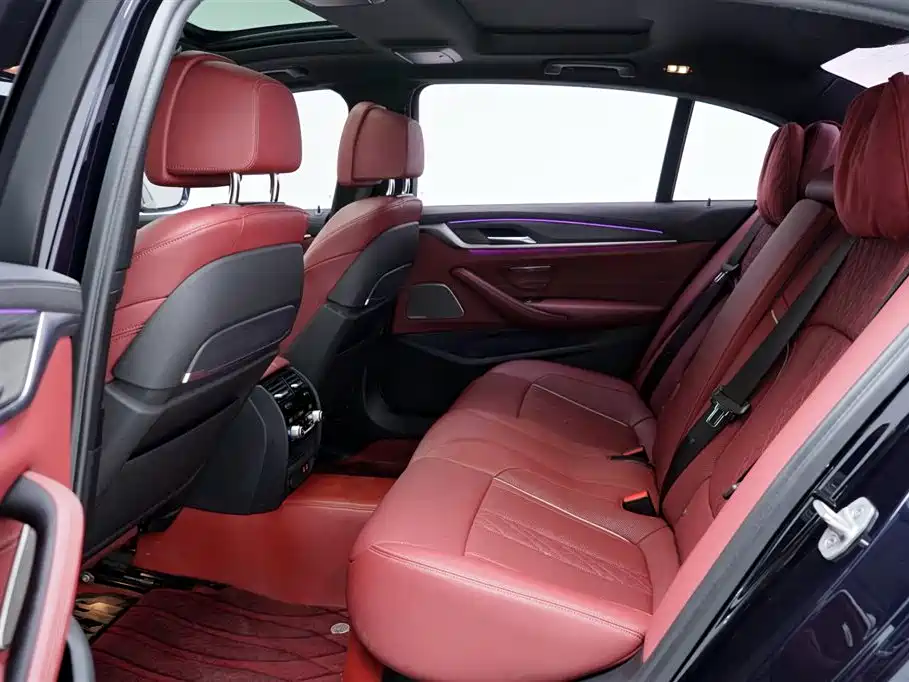 BMW BMW 5 Series 2021 530Li Luxury M Sport Package 2020 - thumbnail 6