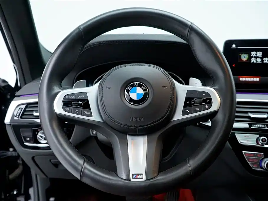 BMW BMW 5 Series 2021 530Li Luxury M Sport Package 2020 - thumbnail 16