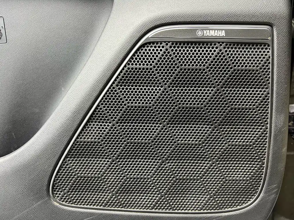 GAC Trumpchi GAC Trumpchi E9 2023 E9 MAX 2025 - thumbnail 4