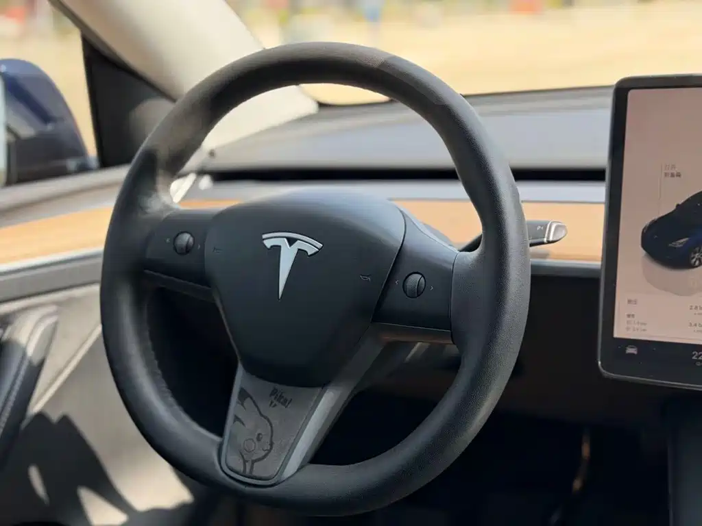 Tesla Model Y 2022 Rear-Wheel Drive 2022 - thumbnail 10