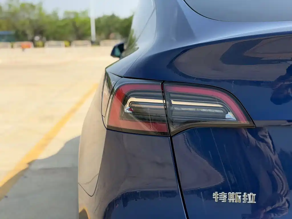 Tesla Model Y 2022 Rear-Wheel Drive 2022 - thumbnail 22