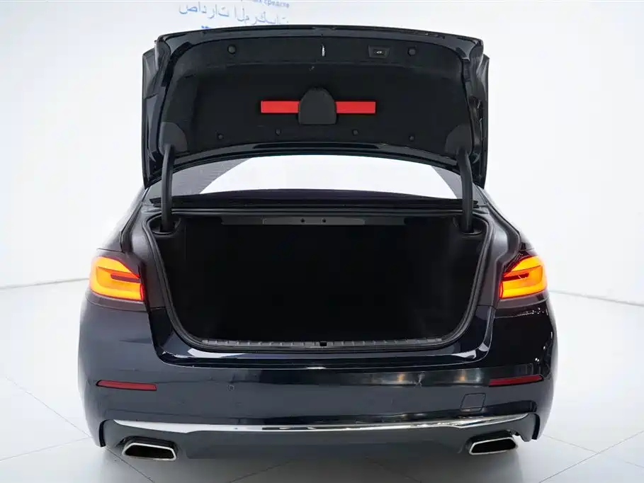 BMW BMW 5 Series 2021 Model Year Facelift 525Li Luxury Package 2021 - thumbnail 23