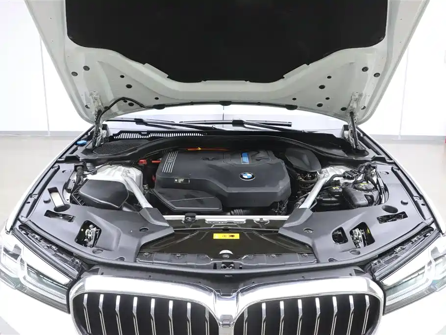 BMW BMW 5 Series New Energy 2022 535Le Luxury Package 2021 - thumbnail 8
