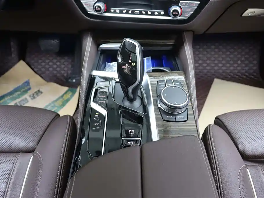 BMW BMW 5 Series 2022 Model Update II 530Li Premium Luxury Package 2022 - thumbnail 25