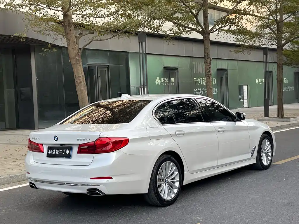 BMW BMW 5 Series 2020 525Li Luxury Package 2021 - thumbnail 6