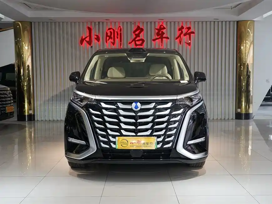 Denza DENZA D9 2025 DM-i Intelligent Driving Edition 1020 AWD Flagship Model 2025 - thumbnail 3