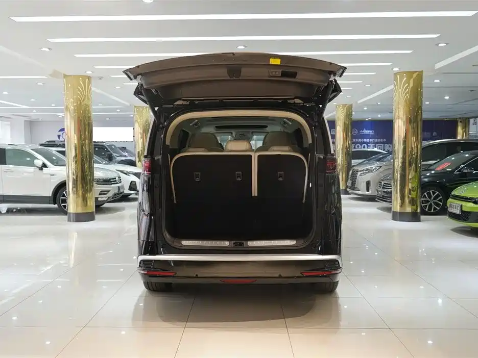 Denza DENZA D9 2025 DM-i Intelligent Driving Edition 1020 AWD Flagship Model 2025 - thumbnail 7