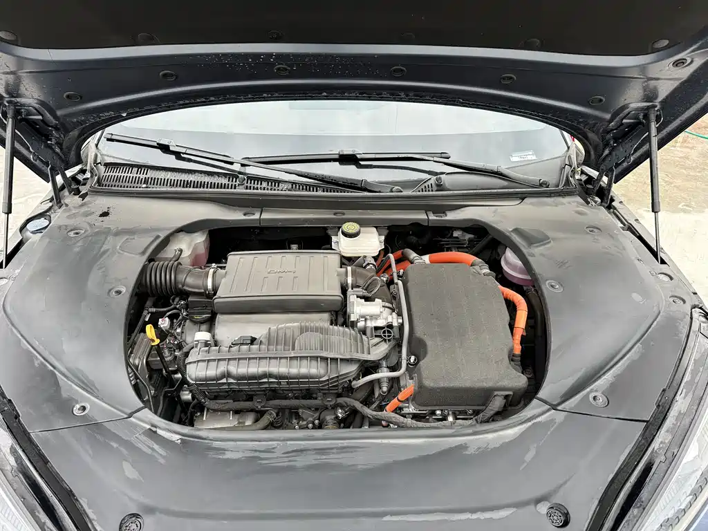 BYD BYD Seal 2024 Glory Edition DM-i 1.5L 121km Luxury Model 2024 - thumbnail 18