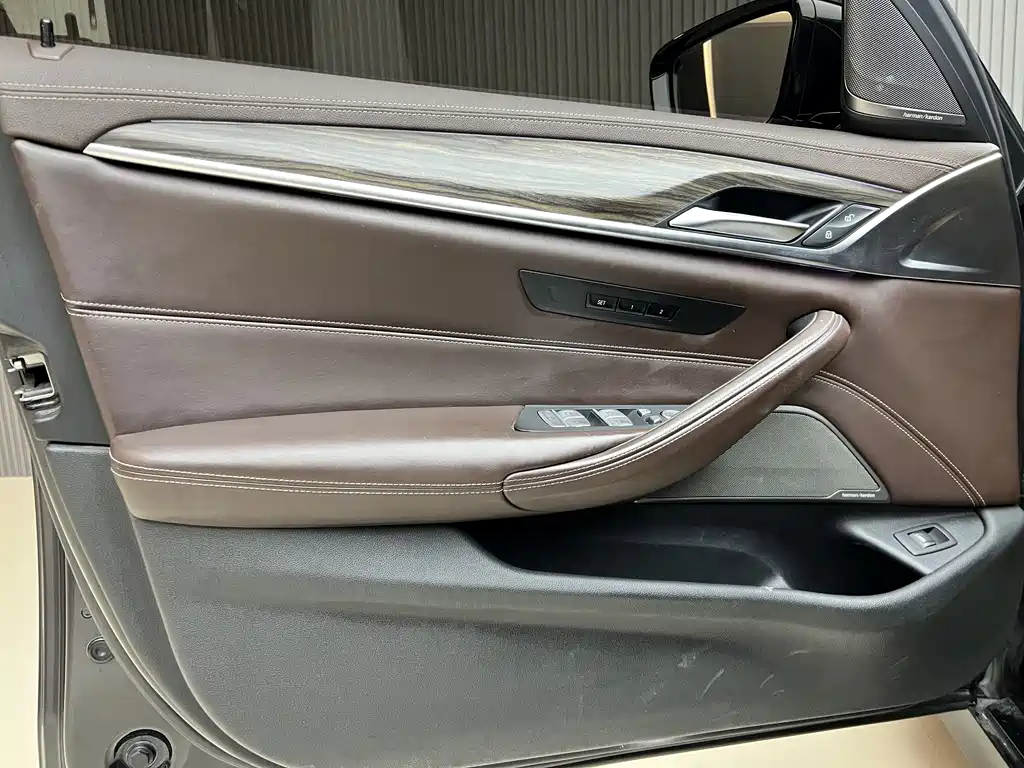 BMW BMW 5 Series 2020 530Li Leading Model Luxury Package 2020 - thumbnail 9