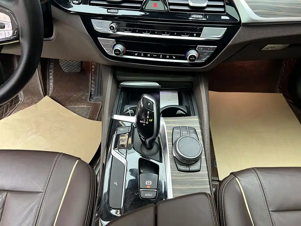 BMW BMW 5 Series 2020 530Li Leading Model Luxury Package 2020 - thumbnail 11