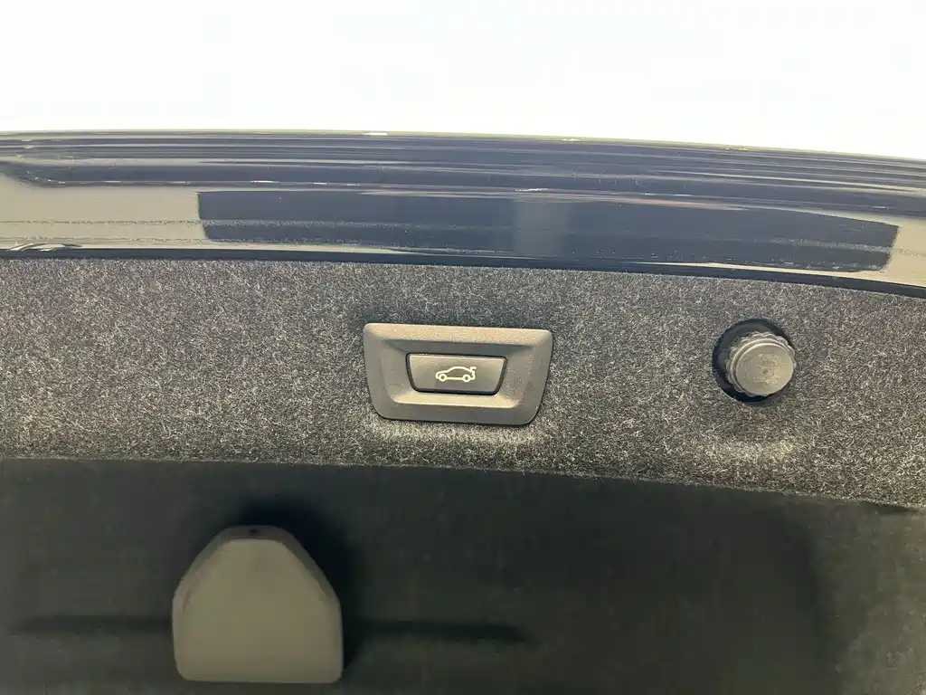 BMW BMW 5 Series 2020 530Li Leading Model Luxury Package 2020 - thumbnail 16
