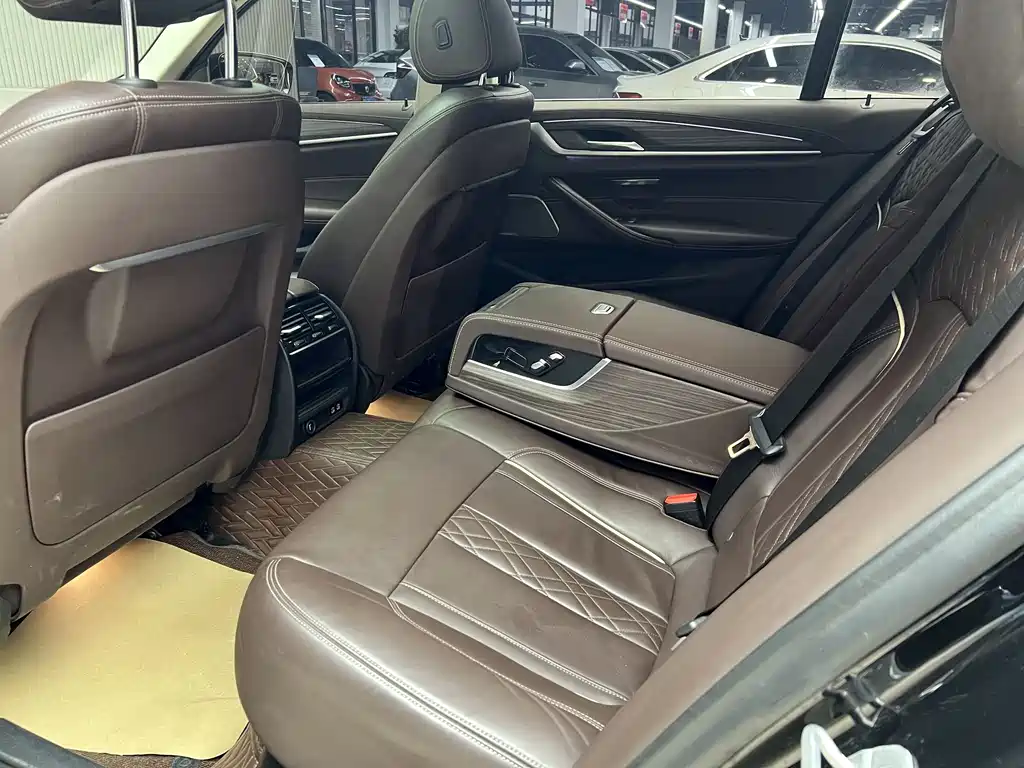 BMW BMW 5 Series 2020 530Li Leading Model Luxury Package 2020 - thumbnail 18