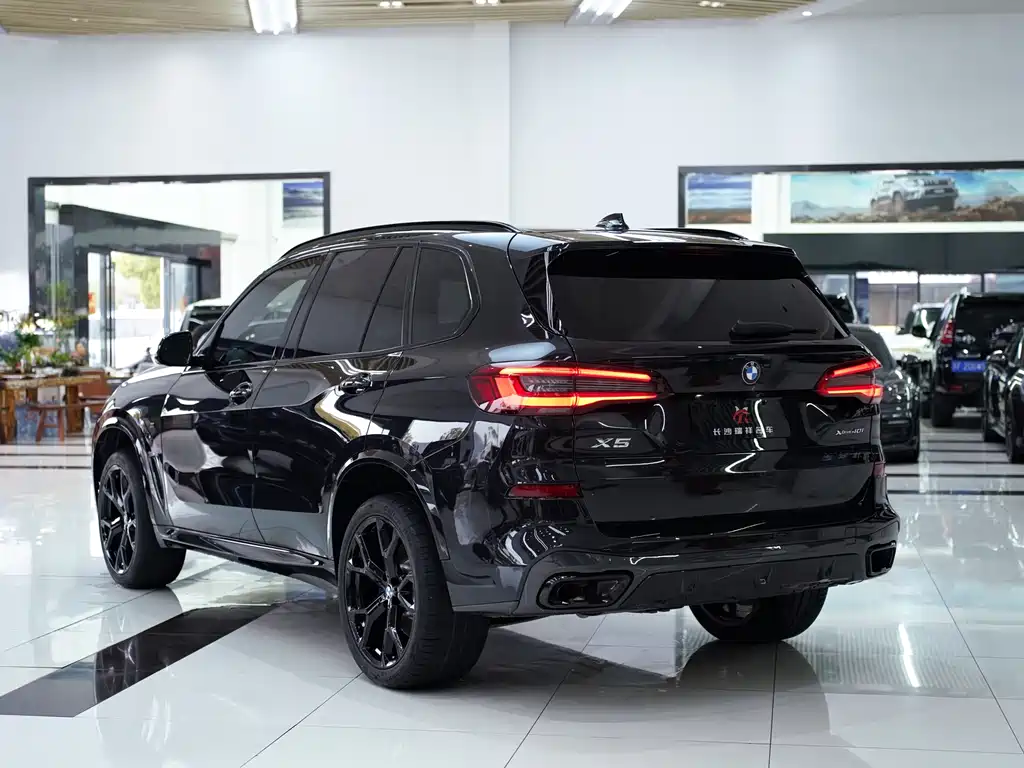 BMW BMW X5 (Imported) 2020 Model 3.0T Canadian Specification 2020 - thumbnail 20