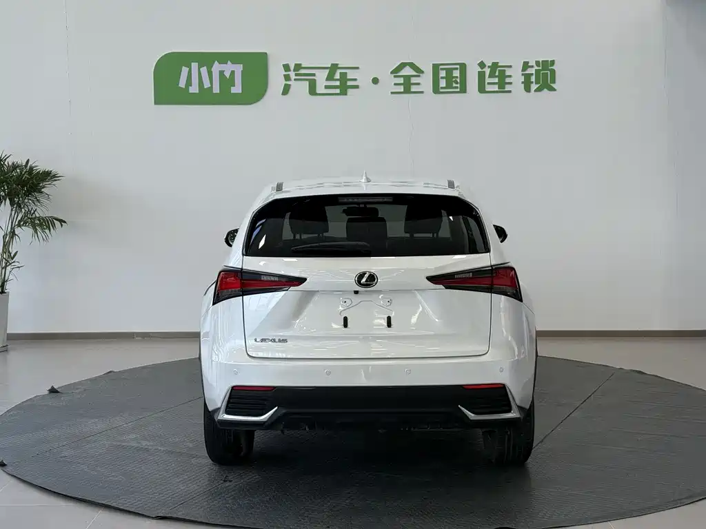 Lexus Lexus NX 200 FWD Dynamic Edition (China VI) 2020 Model Year 2020 - thumbnail 5