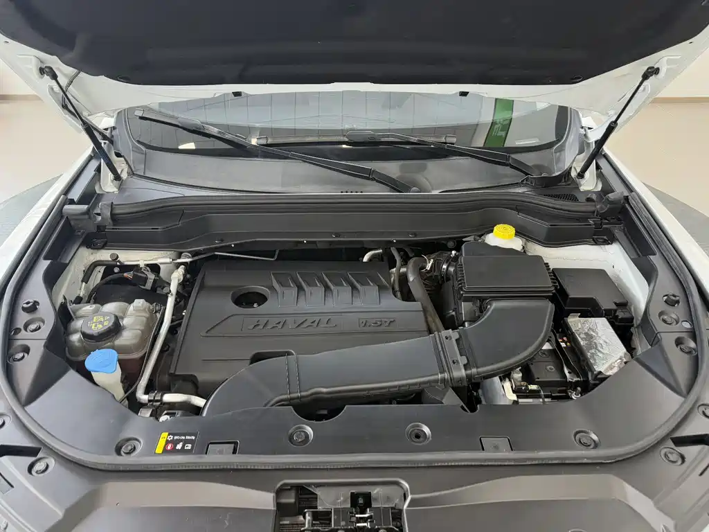 Haval Haval H6 2021 Guochao Edition 1.5T Automatic Urban Version 2022 - thumbnail 19