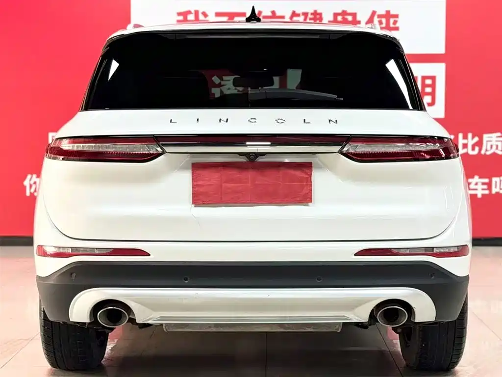 Lincoln Lynx 2021 2.0T FWD Elegant Edition 2021 - thumbnail 5