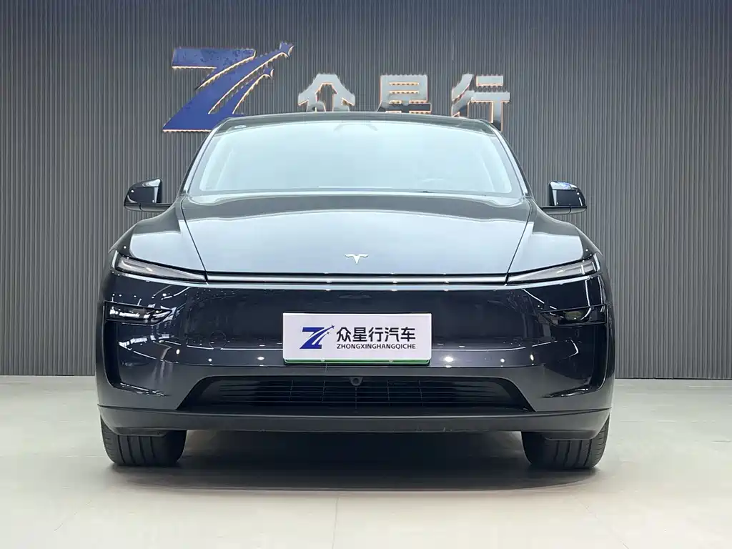 Tesla Model Y 2025 Rear-Wheel Drive Launch Edition 2025 - thumbnail 2
